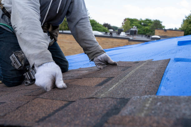 Best Storm Damage Roof Repair  in Fowlerville, MI