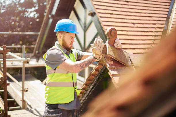 Best Roof Gutter Cleaning  in Fowlerville, MI